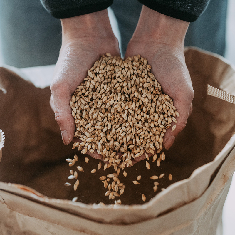 モルト・酵母の写真